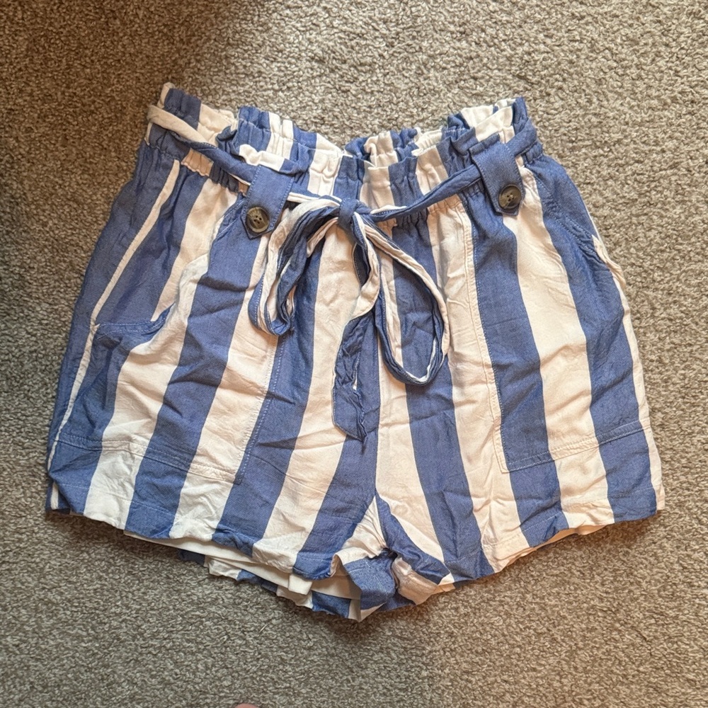 American Eagle Outfitters Blue and White Shorts